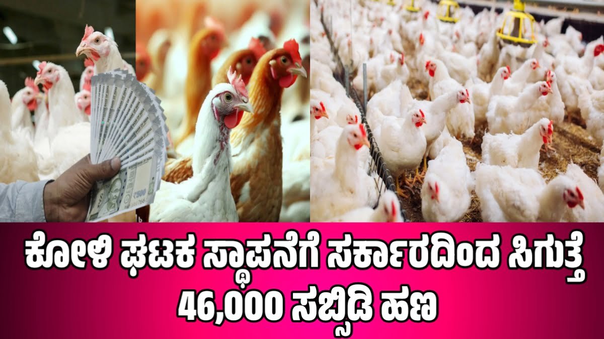 poultry farm subsidy